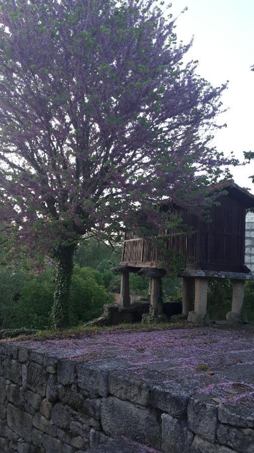 Casa Rural Torre Lombarda Альярис Экстерьер фото